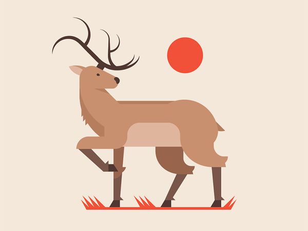 deer copy