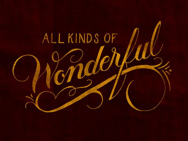 all_kinds_of_wonderful_dribbble