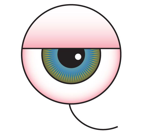 Q-5