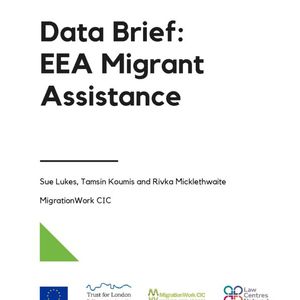 cover: Data Brief: EEA Migrant Assistance
