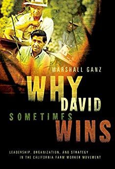 Why David Sometimes Wins: Leadership, Organization, and Strategy in the California Farm Worker Move…
