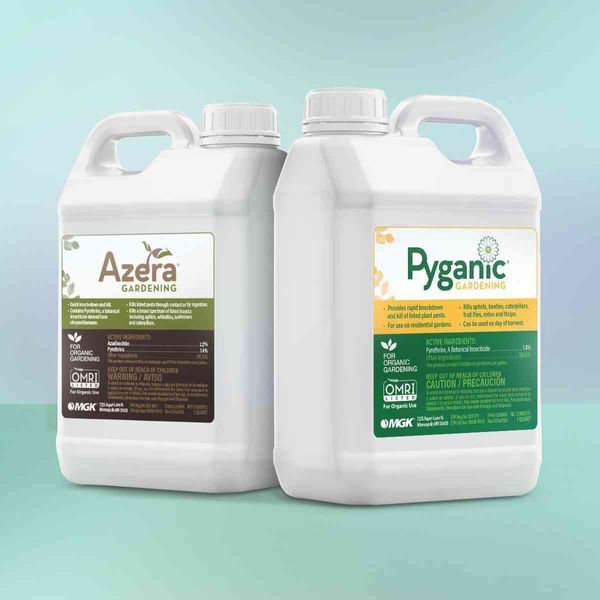 Pyganic & Azera Gardening