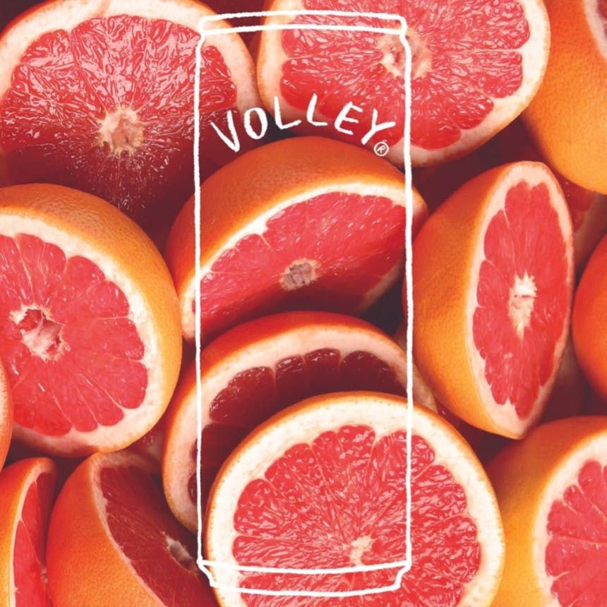 Volley Branding by Red Antler
