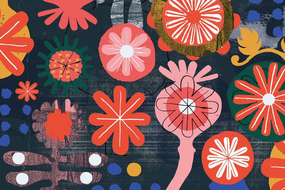 Macondo Chocolate Co — The Dieline - Branding & Packaging Design