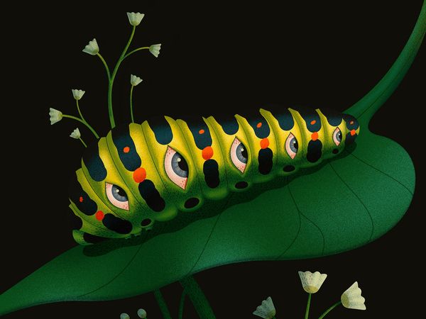 Caterpillar by Ana Miminoshvili on Dribbble