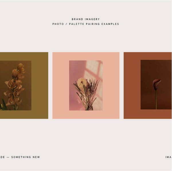 Screen Shot 2018-10-04 at 9.53.06 AM