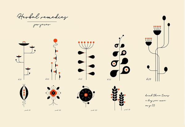 Herbal remedies illustrations on Behance