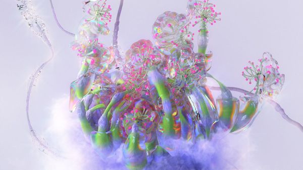 Strange Spring for The Galleries - XK studio