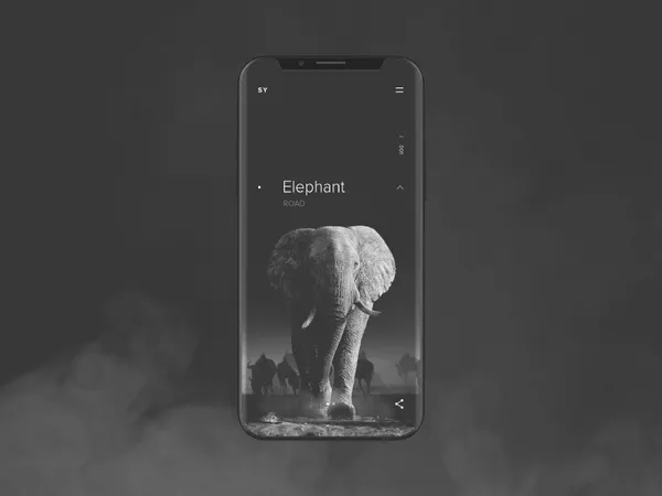SY Expedition elephant by Anton Skvortsov