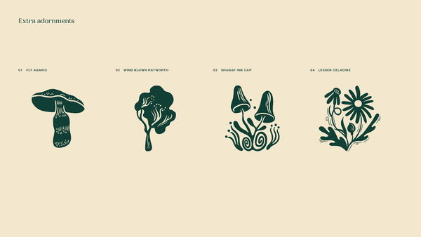 Brand New: New Logo and Identity for The New Forest by Studio Glass