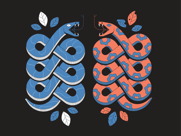 SNAKE SHAKES by Arnu on Dribbble