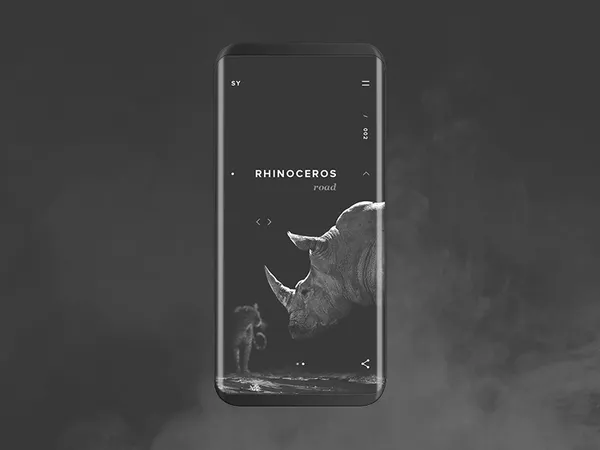 SY Expedition animation by Anton Skvortsov - Dribbble