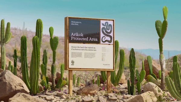 Brand New: New Logo and Identity for Aruba Conservation Foundation by How&How