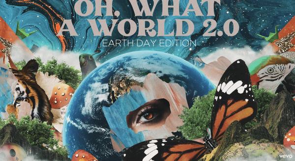 Screen Shot 2020-04-23 at 9.16.35 AM