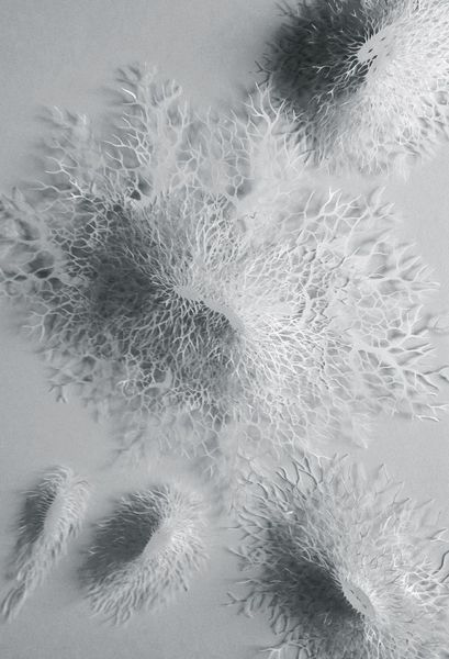 Rogan Brown | Bacteria Deleria, 2014 | handcut paper | Textiles & Fibre Arts | Pinterest | Paper ar…