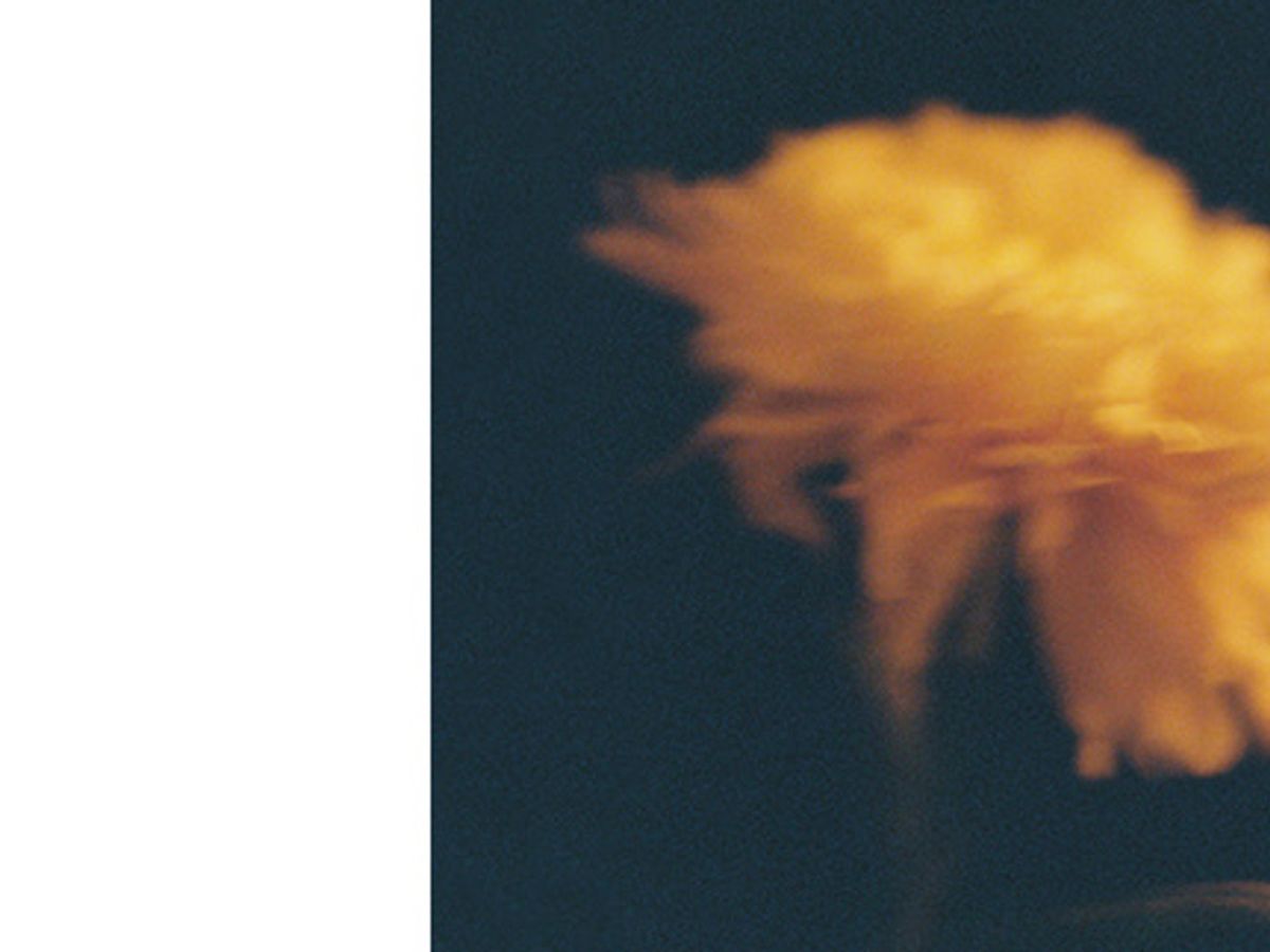 Portfolio of photographer and graphic designer Savannah van der Niet - Savannah van der Niet