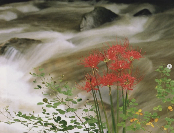 Screenshot 2025-09-02 at 15.22.28