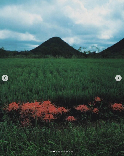 Screenshot 2024-11-28 at 21.30.39