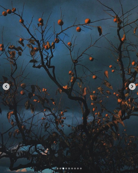 Screenshot 2024-11-28 at 21.30.50