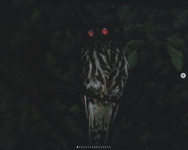 Screenshot 2025-12-23 at 8.27.28