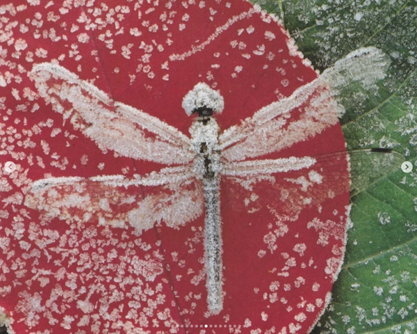 Screenshot 2025-12-23 at 8.26.36