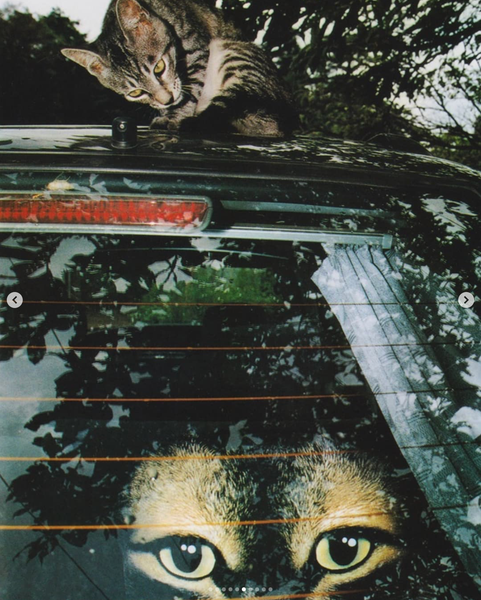 Screenshot 2025-01-12 at 20.33.47