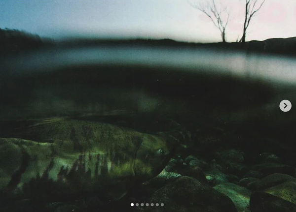 Screenshot 2024-11-28 at 21.29.17