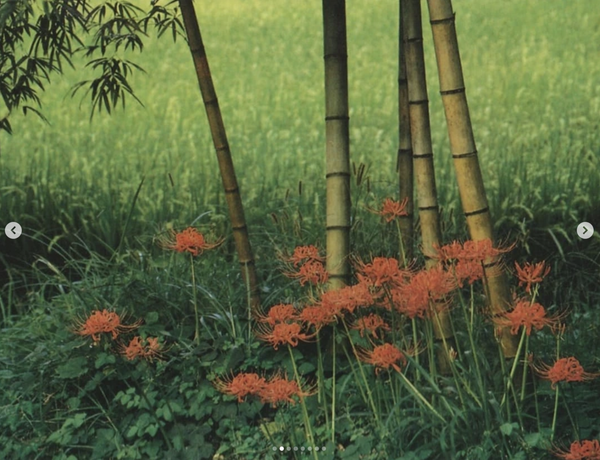 Screenshot 2025-09-02 at 15.22.12