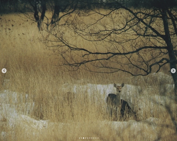 Screenshot 2025-12-04 at 17.25.31