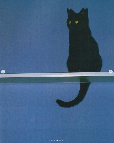 Screenshot 2025-06-13 at 21.56.34