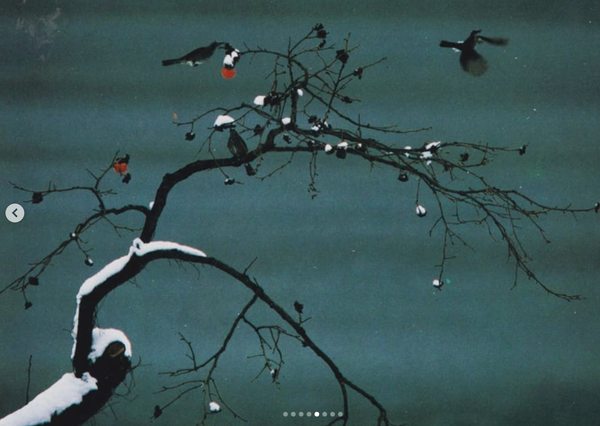 Screenshot 2025-01-17 at 14.05.14