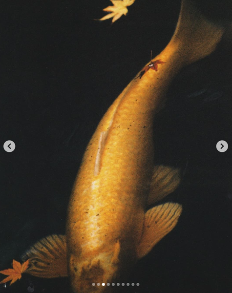 Screenshot 2024-11-28 at 21.25.34