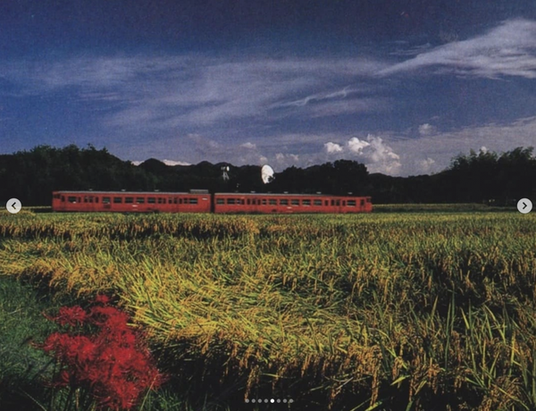 Screenshot 2025-09-02 at 15.21.36