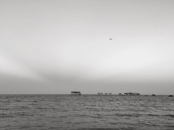 IMG_1267