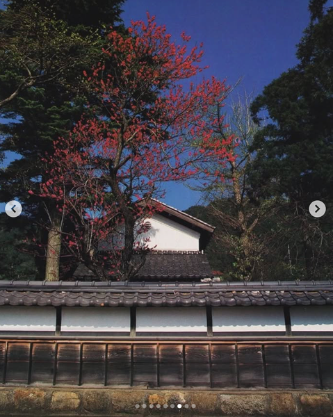 Screenshot 2024-11-28 at 21.32.35