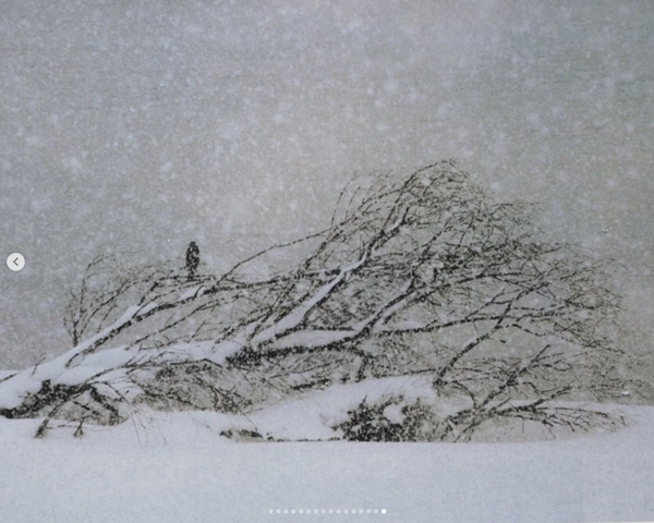 Screenshot 2025-12-23 at 8.25.39