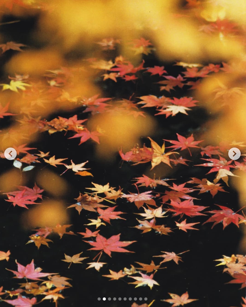 Screenshot 2024-11-28 at 21.25.26