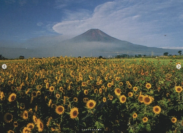 Screenshot 2025-04-30 at 17.09.09