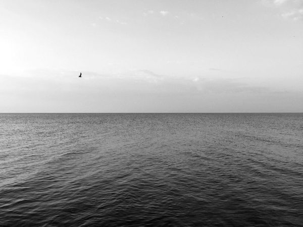 IMG_1512