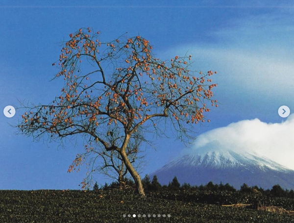 Screenshot 2024-11-28 at 21.21.48