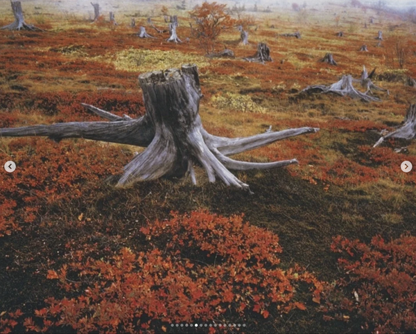 Screenshot 2025-12-23 at 8.26.49