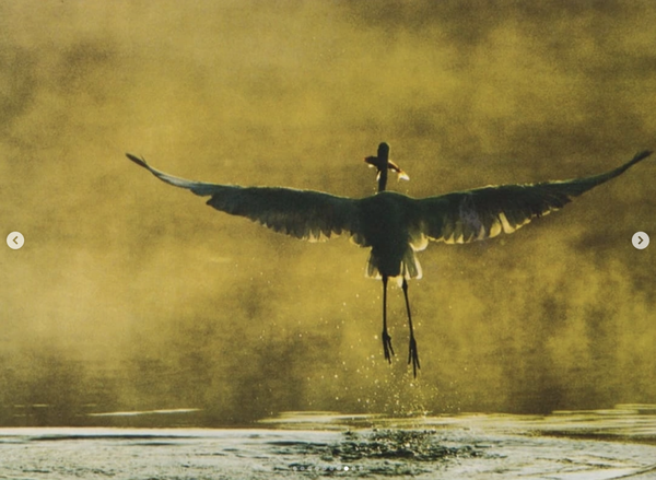 Screenshot 2025-04-30 at 17.08.55