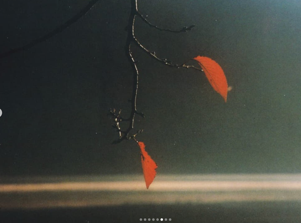 Screenshot 2025-01-17 at 14.05.25