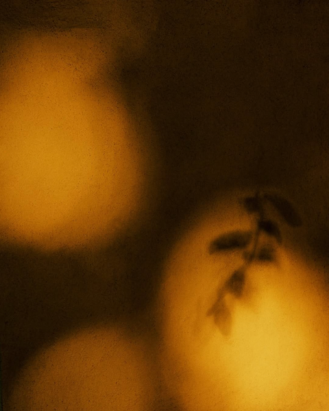 Screenshot 2025-01-16 at 21.51.36