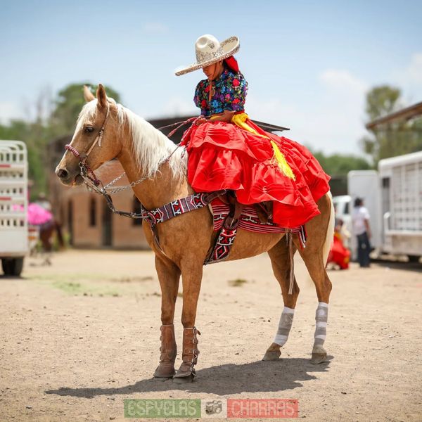 444480862_466331145893868_4574709997600487777_n