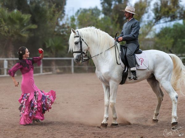 464500139_10161714505796638_4429818034928252452_n