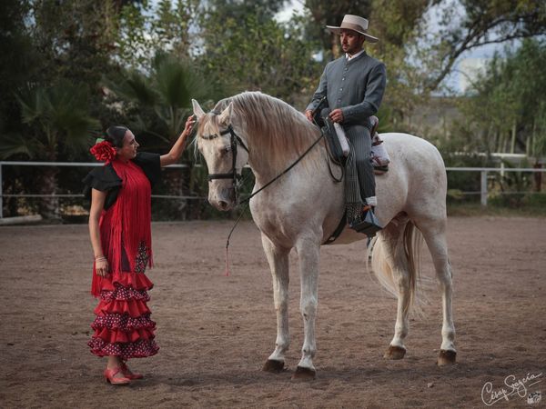 464419845_10161714519656638_4614903860769341546_n