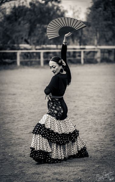 464332085_10161714507446638_2897387497126258867_n