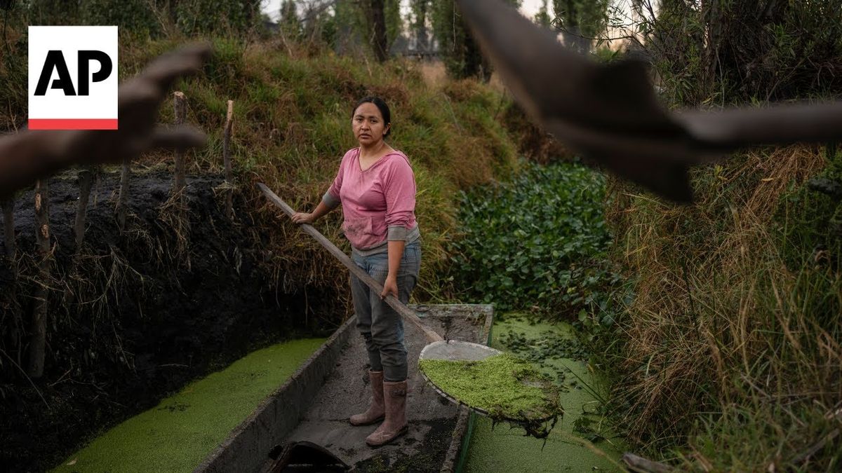 Women in Mexico protect ancient Aztec farms and save a vanishing ecosystem