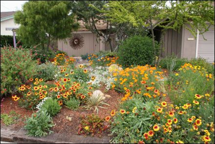 Texas Xeriscape Designs | winning xeriscape design for 2006 landscape with low maintenance curb ...